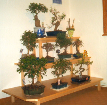 <p> </p><p> </p><p>Blumenbank für Bonsaibäume</p>